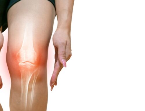 6 Definiciones interesantes sobre nuestro cuerpo